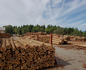 林産・販売